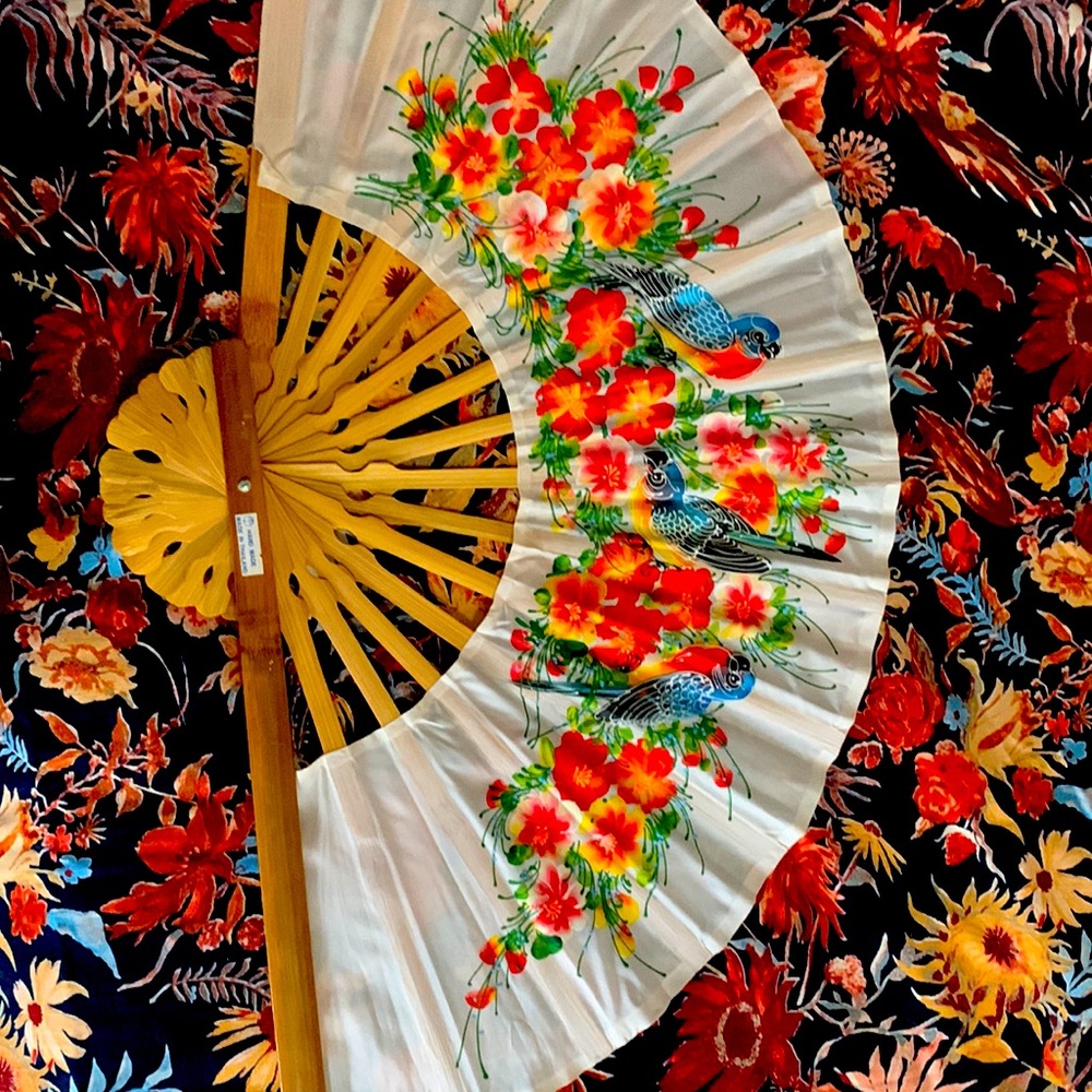 Asian Fan